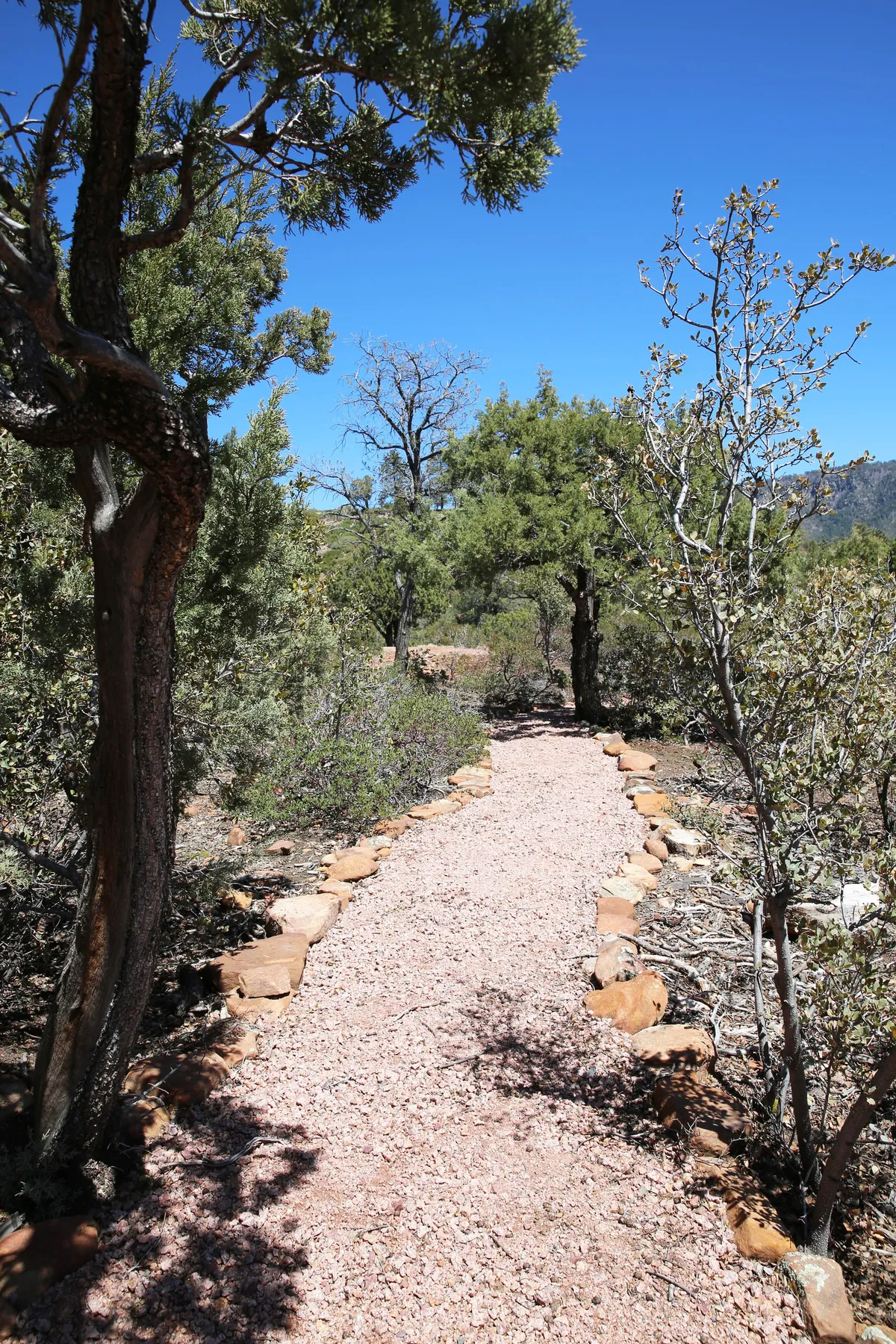 A tranquil pathway bordered by rocks winds through a lush, wooded area, inviting exploration. Tall trees create a shaded canopy, and the natural setting feels immersive and secluded—perfect for setting off on a private hike.