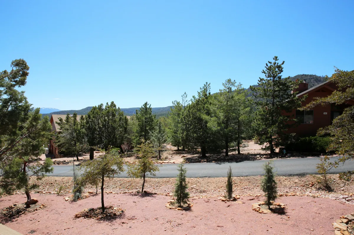 A scenic exterior view with a winding road lined by trees and distant mountains. The scene evokes exploration and connection to nature, ideal for outdoor adventures like walking, bird watching, and stargazing.